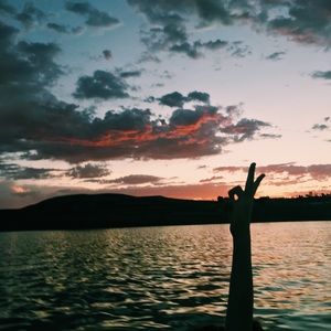 Meet your Posher, Molly